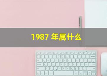 1987 年属什么